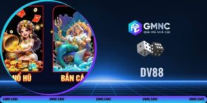 DV88