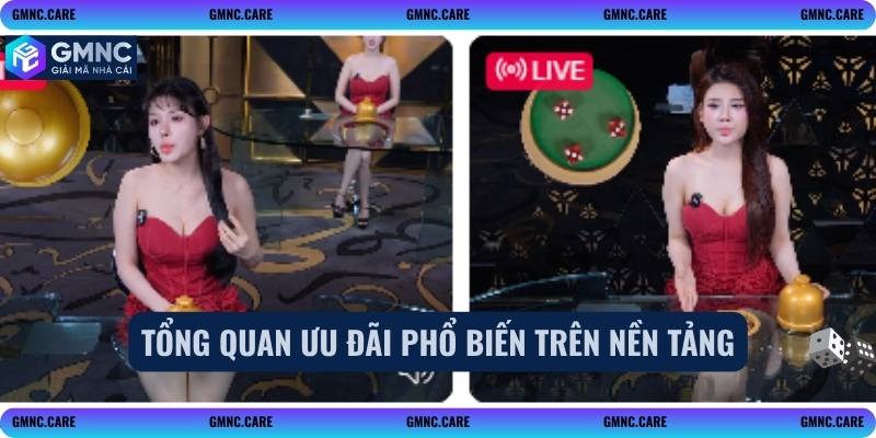Tổng quan ưu đãi phổ biến trên nền tảng
